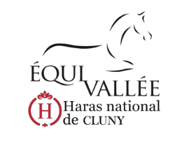 Top Skill: Ton sport, ton style. Vêtements techniques personnalisables.