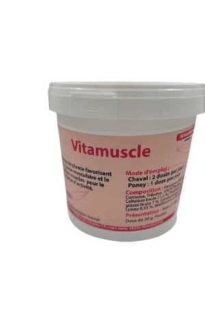 Vita Muscle